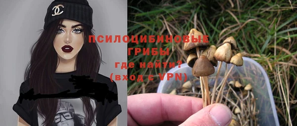 PSILOCYBIN Володарск