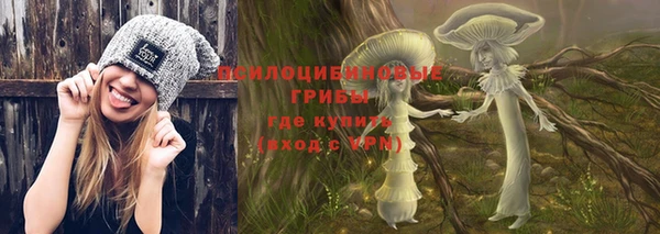 мяу мяу мука Магадан