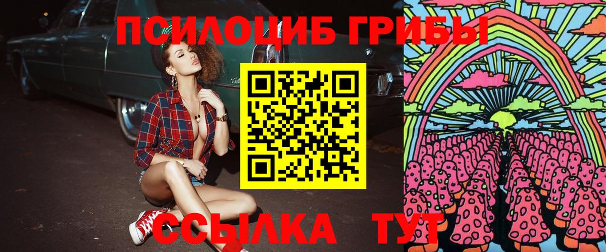Галлюциногенные грибы мицелий  Галлюциногенные грибы GOLDEN TEACHER  где найти наркотики  Вход с VPN  Александров 