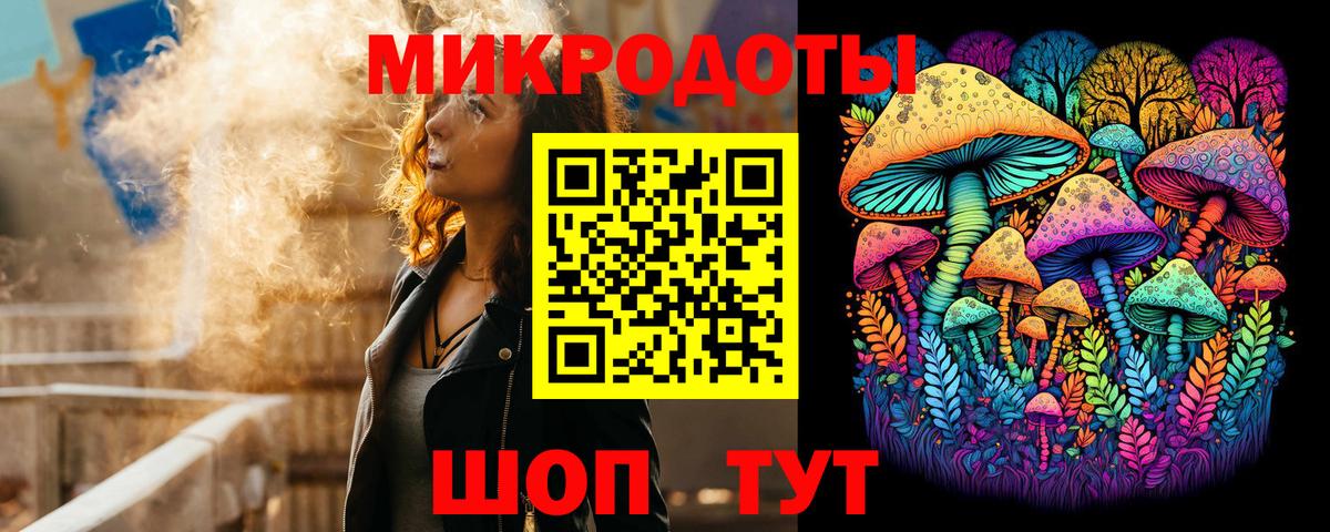 Псилоцибиновые грибы Psilocybe Александров