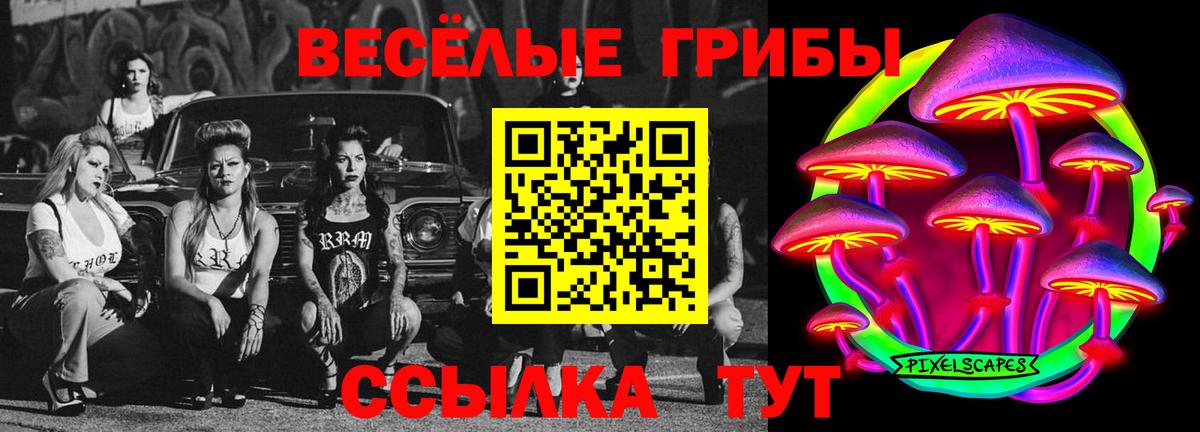 Галлюциногенные грибы прущие грибы  Галлюциногенные грибы мицелий  Александров 